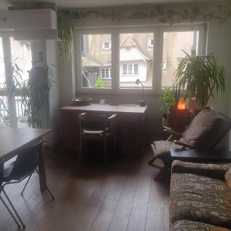 Apartament La Puisatiere 80 M2 Strasburg Zewnętrze zdjęcie