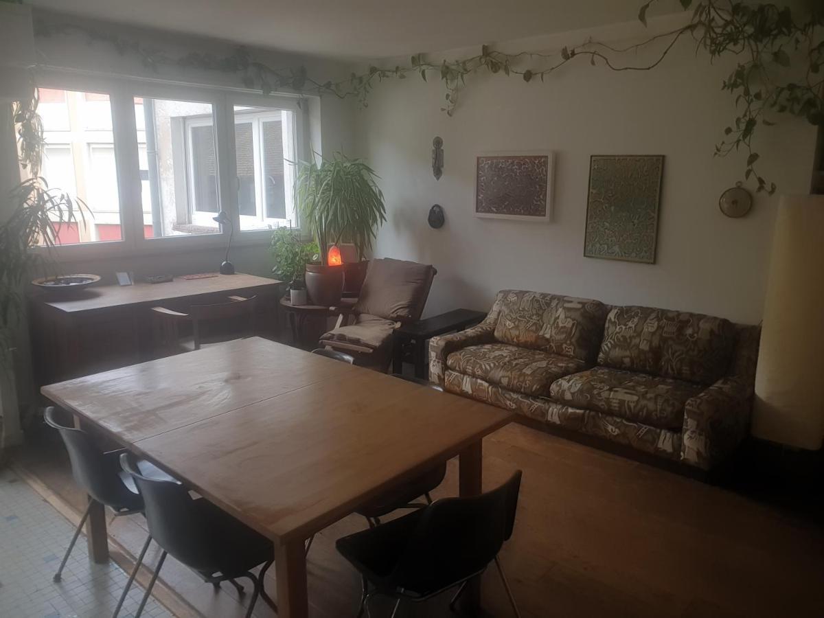 Apartament La Puisatiere 80 M2 Strasburg Zewnętrze zdjęcie