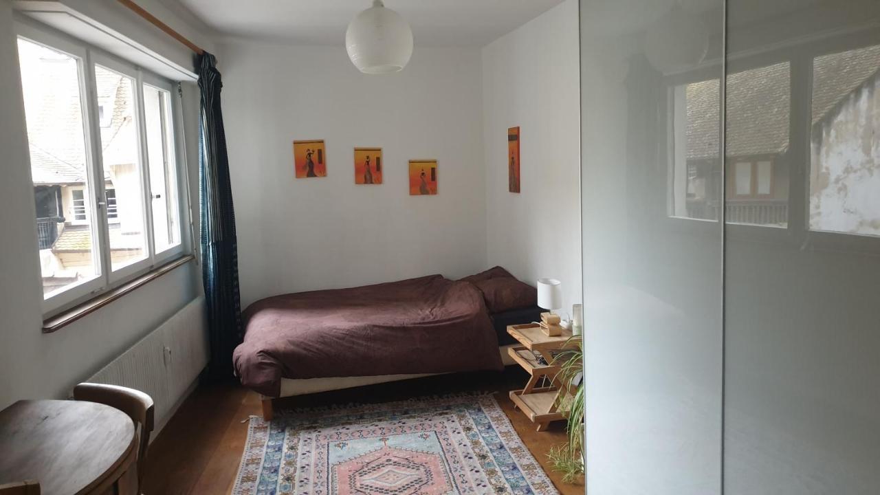 Apartament La Puisatiere 80 M2 Strasburg Zewnętrze zdjęcie