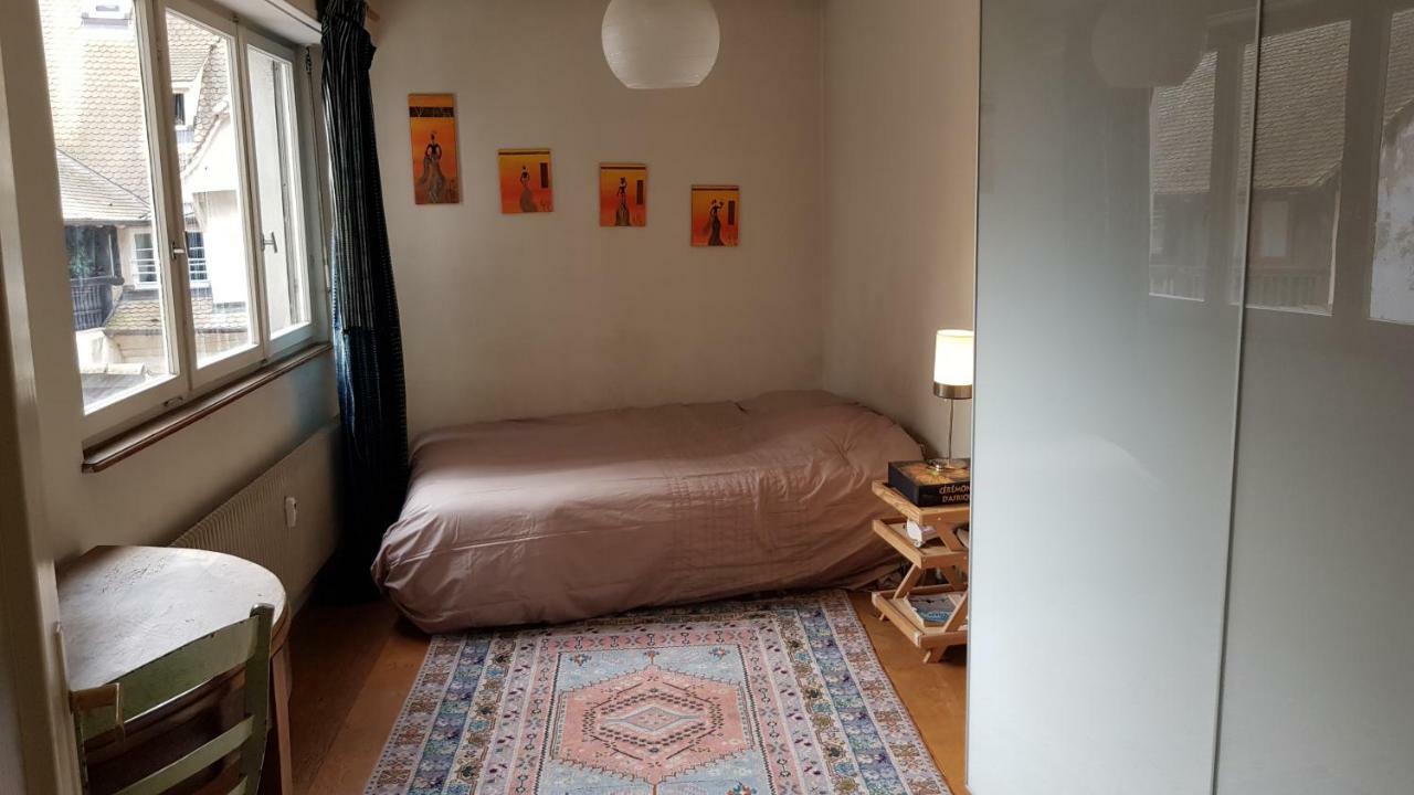 Apartament La Puisatiere 80 M2 Strasburg Zewnętrze zdjęcie