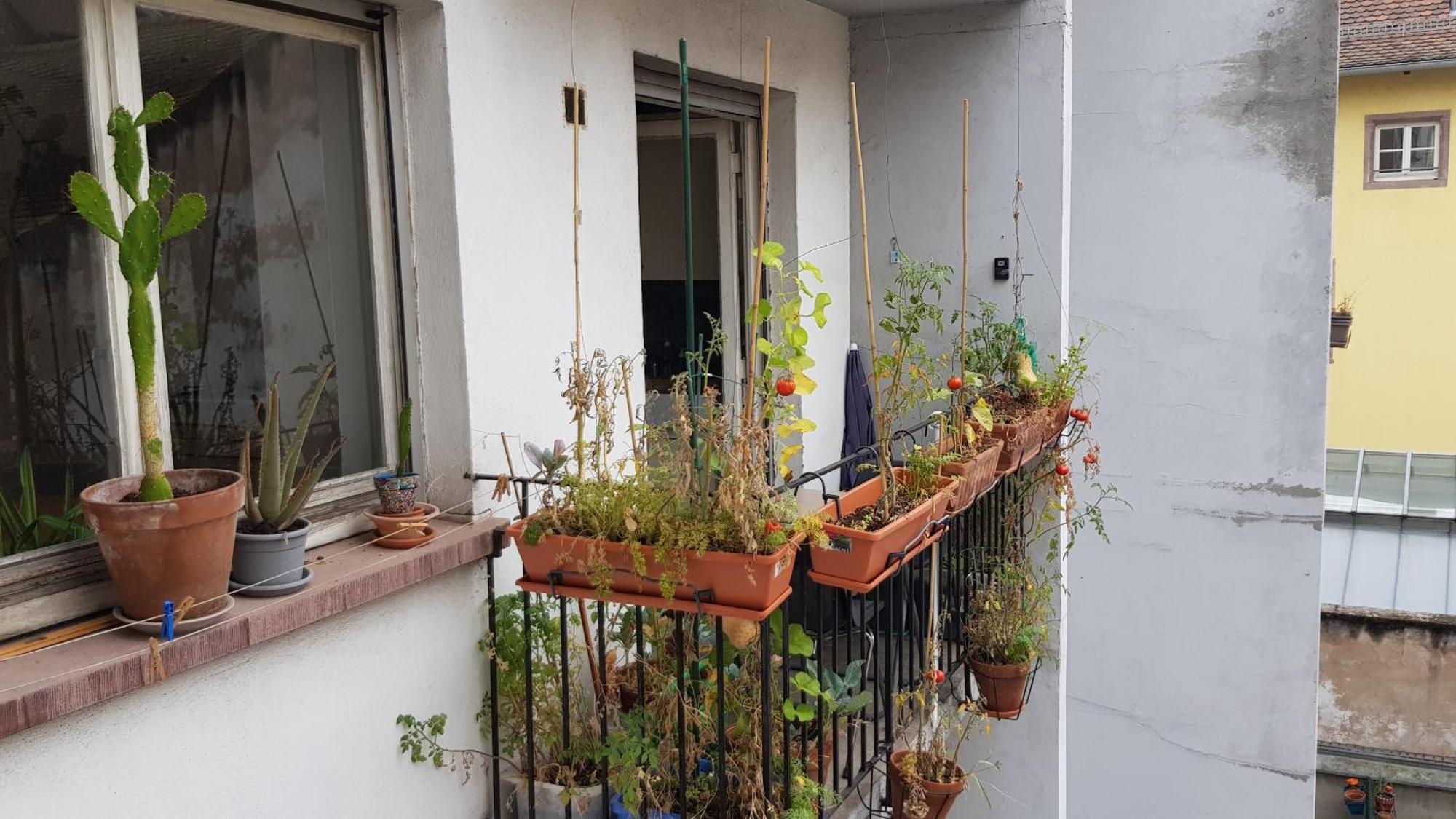 Apartament La Puisatiere 80 M2 Strasburg Zewnętrze zdjęcie